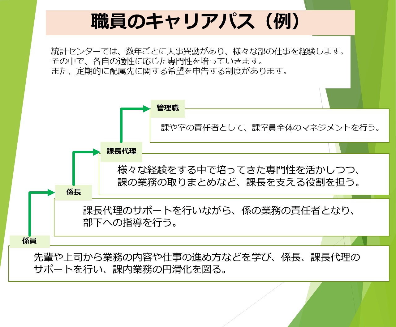 統計センターのキャリアパス(例)